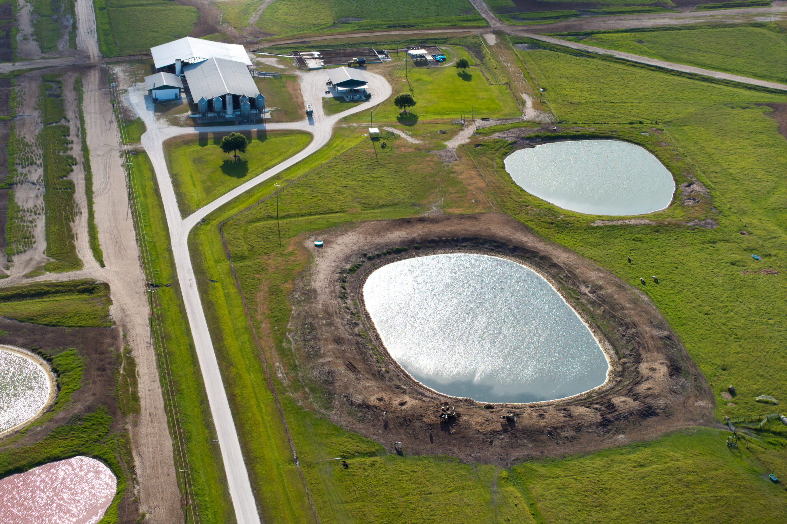Aerial view of ponds and farm buildings